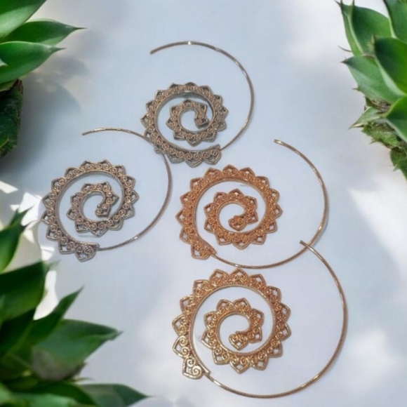 Jewelry - Spiral Hoop Earrings in Silver and Gold